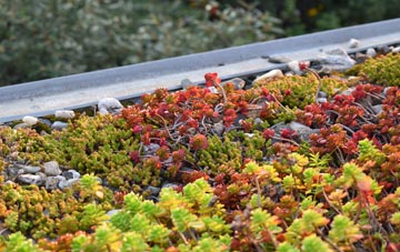 the cost of Westerleigh green roof installation