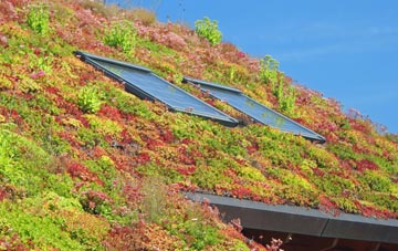 Westerleigh living roof systems